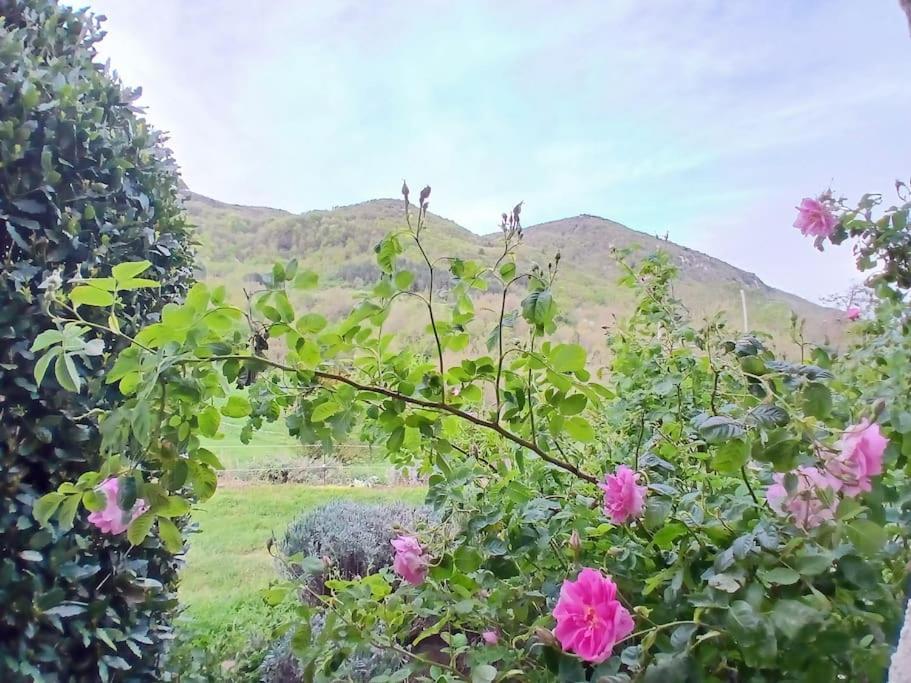 Bright Loft With Mountain And Nature View Sougraigne Kültér fotó