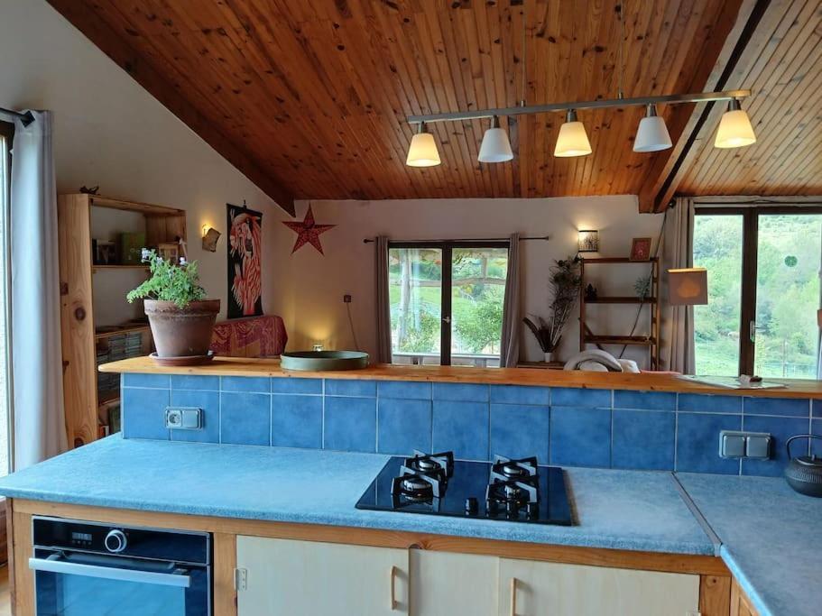 Bright Loft With Mountain And Nature View Sougraigne Kültér fotó